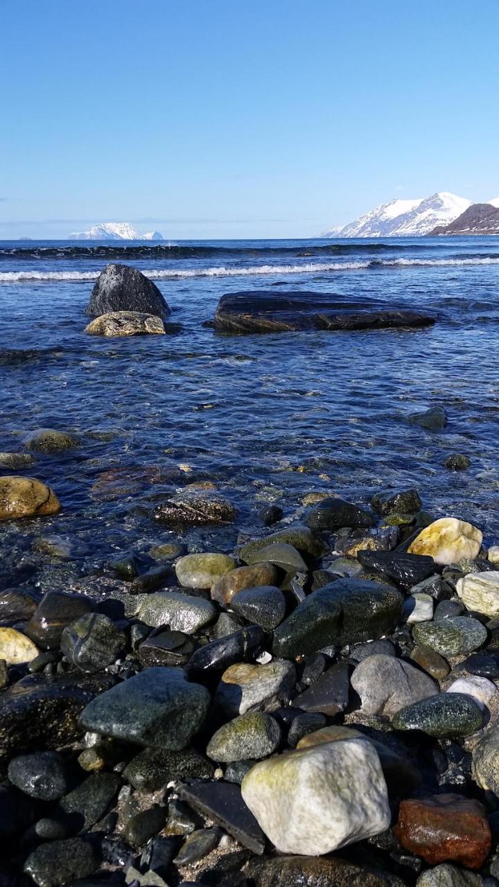 Вилла Lyngen Fjordcamp Nord-Lenangen Экстерьер фото